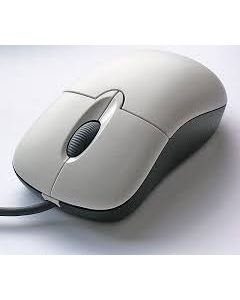 mouse